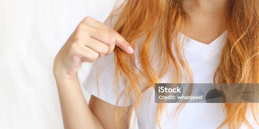 IMG-20250210-WA0010