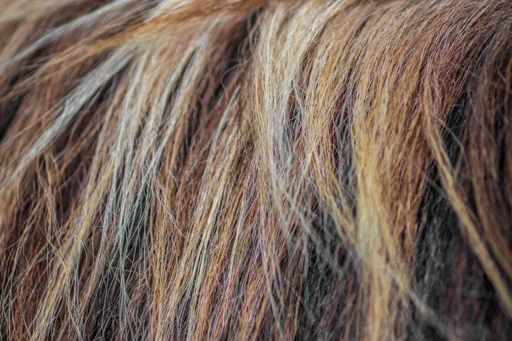 hair texture